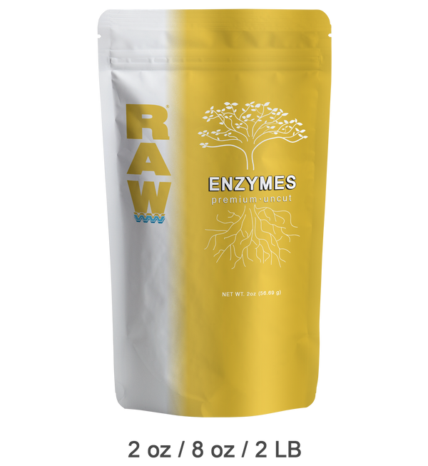 RAW ENZYMES