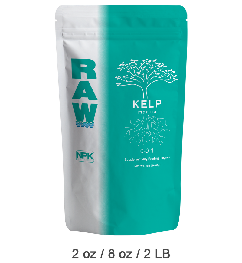 RAW Kelp