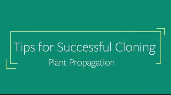 Tips for Successful Cloning - Single Course