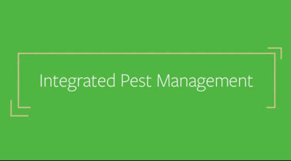 Integrated Pest Management: Prevention - Single Course