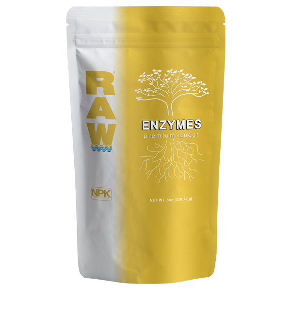 RAW ENZYMES