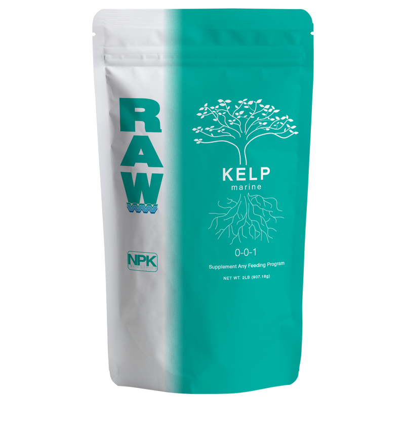 RAW Kelp