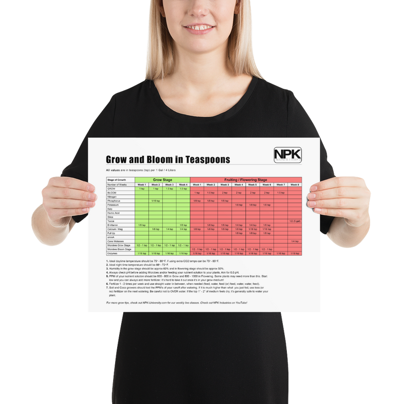 NPK RAW All-In-One Grow & Bloom Products Feeding Chart TSP Poster