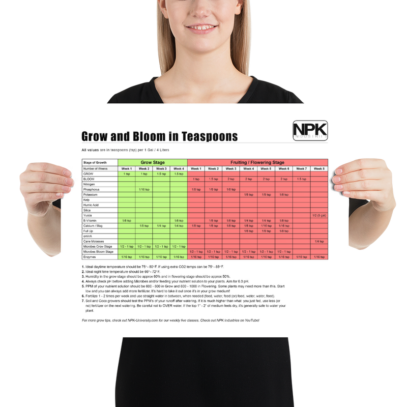 NPK RAW All-In-One Grow & Bloom Products Feeding Chart TSP Poster