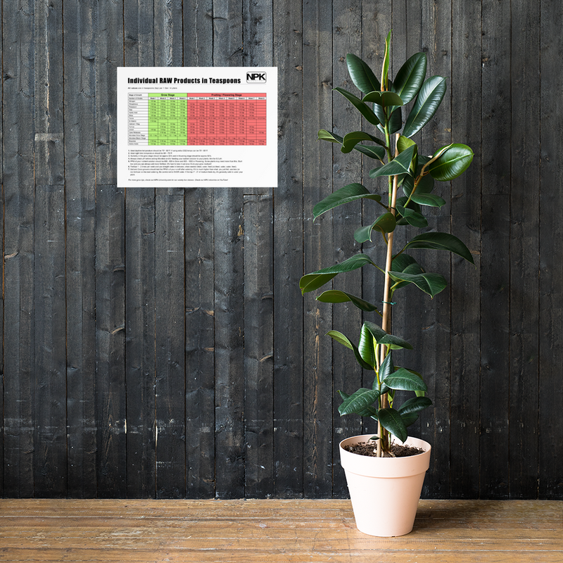 Individual RAW Products in Teaspoons Feeding Chart Poster