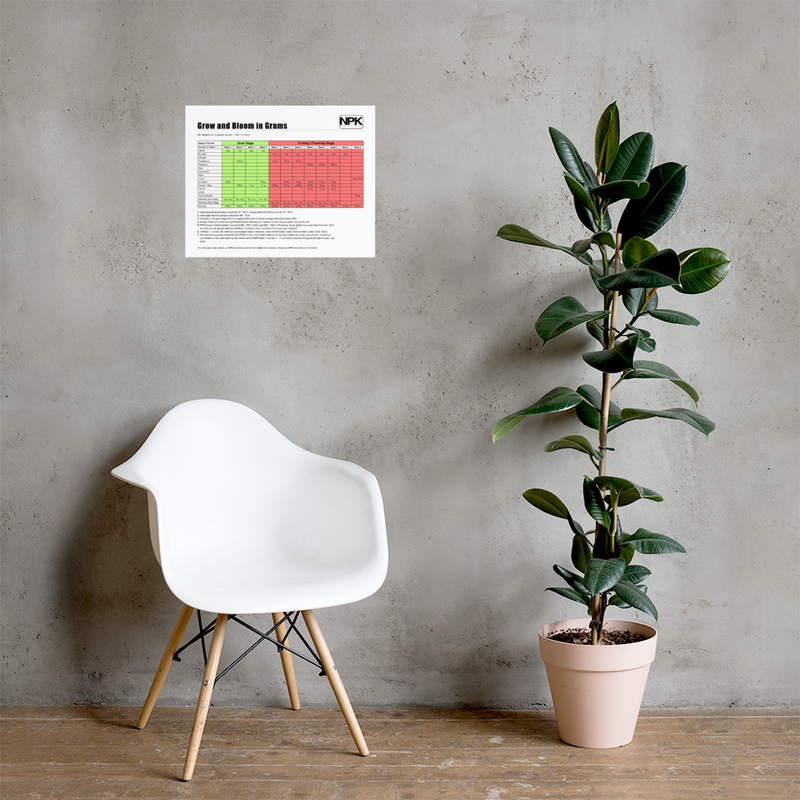 NPK RAW All-In-One Grow & Bloom Products Feeding Chart Grams Poster