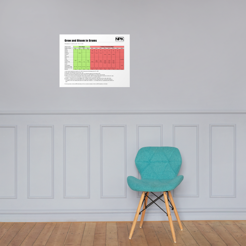 NPK RAW All-In-One Grow & Bloom Products Feeding Chart Grams Poster