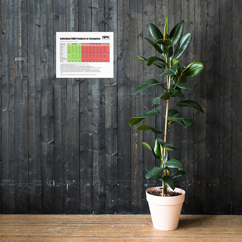 Individual RAW Products in Teaspoons Feeding Chart Poster