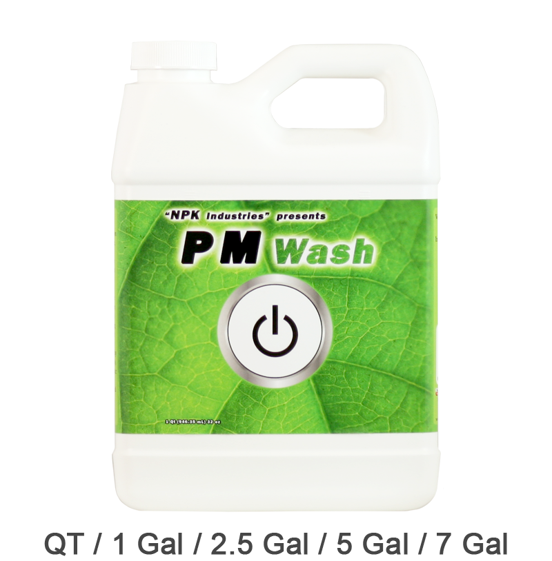 PM Wash